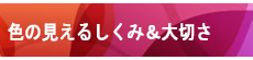 色の見えるしくみ